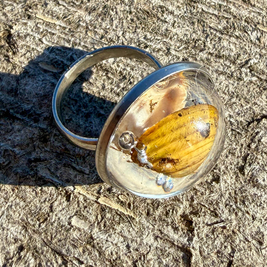 Clam Shell Cabochon Ring