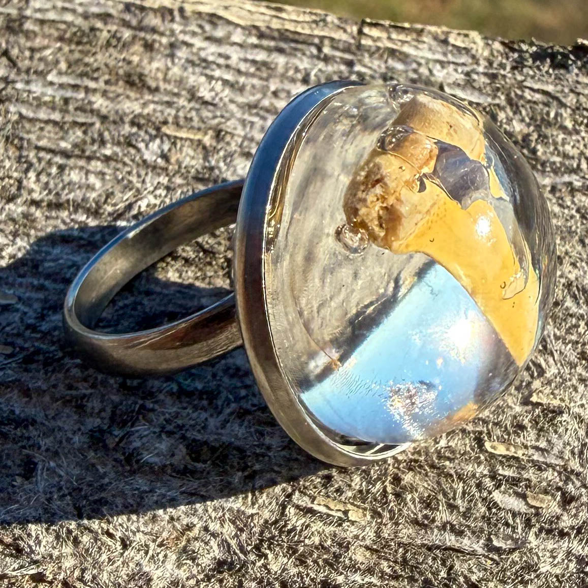 Shark Tooth Cabochon Ring