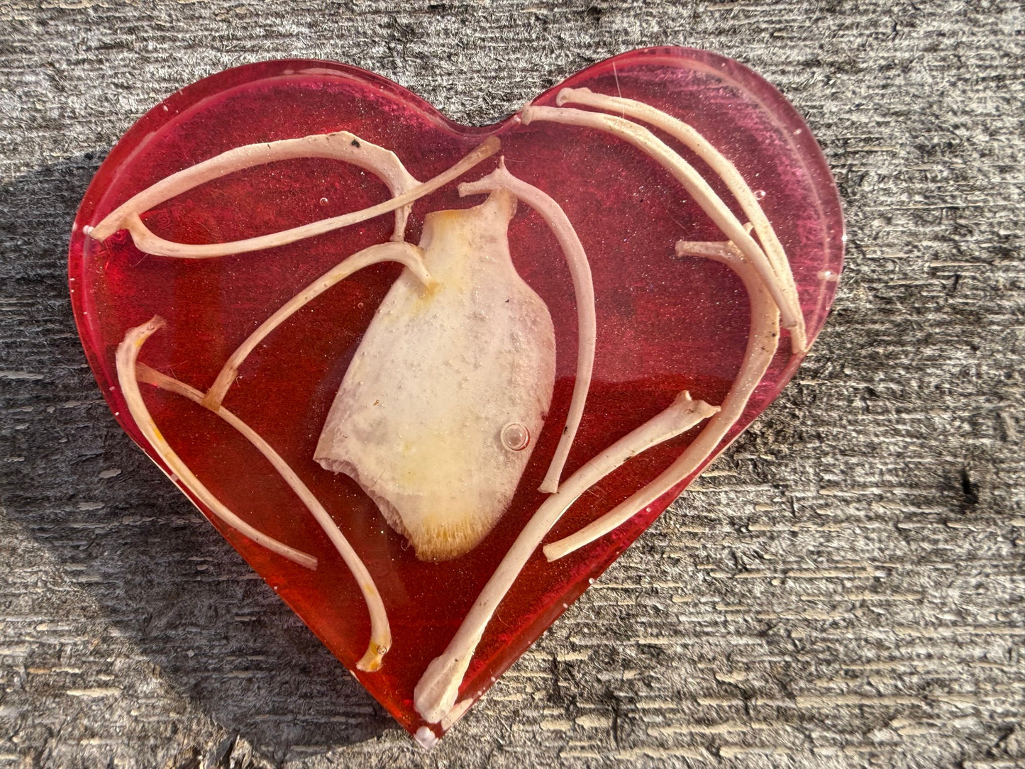 Heart O' Bones Coaster