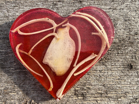 Heart O' Bones Coaster