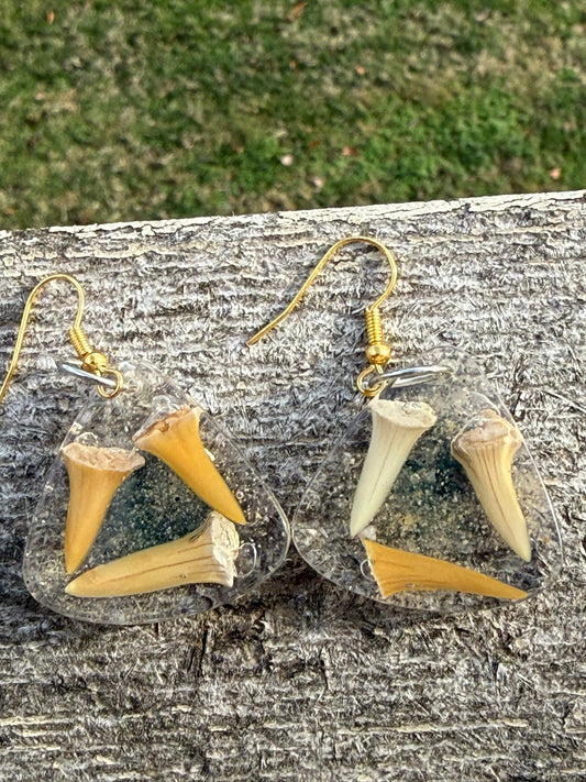 Shark Tooth Earrings