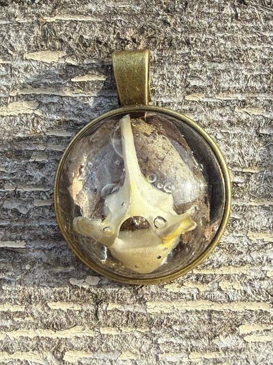 Vertebrae Cabochon Pendant